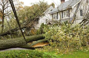Storm Damage Claims in Porter, Texas by Managed Chaos Restoration Services