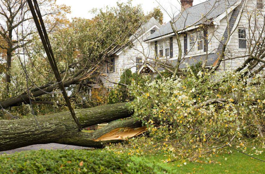 Storm Damage Claims by Managed Chaos Restoration Services